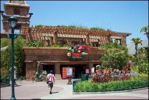 rainforestcafe.jpg