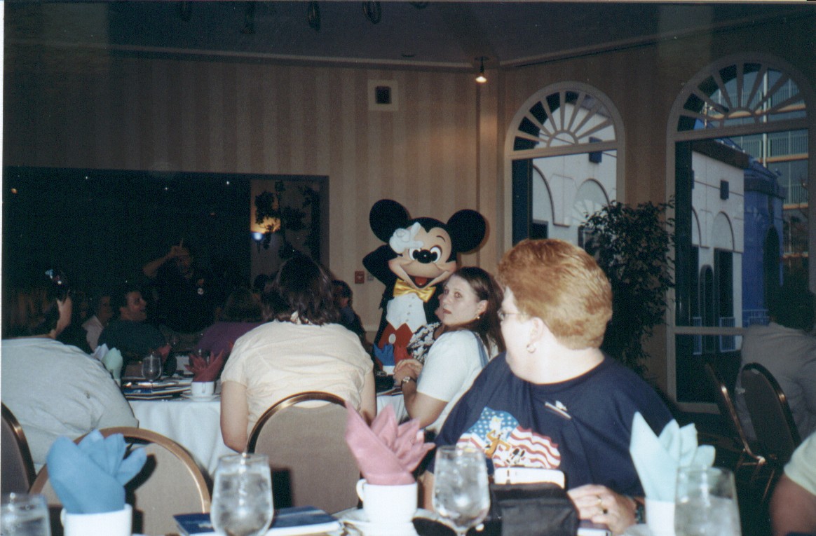 DLlosermickey.jpg