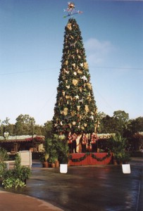 akchristmastree01.jpg