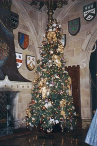 cindychristmastree01.jpg